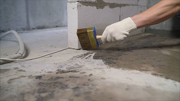 SJ Waterproofing Pros Exterior Waterproofing coverage map for Nappanee, IN and surrounding area